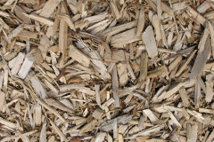 biomass boilers Bewcastle